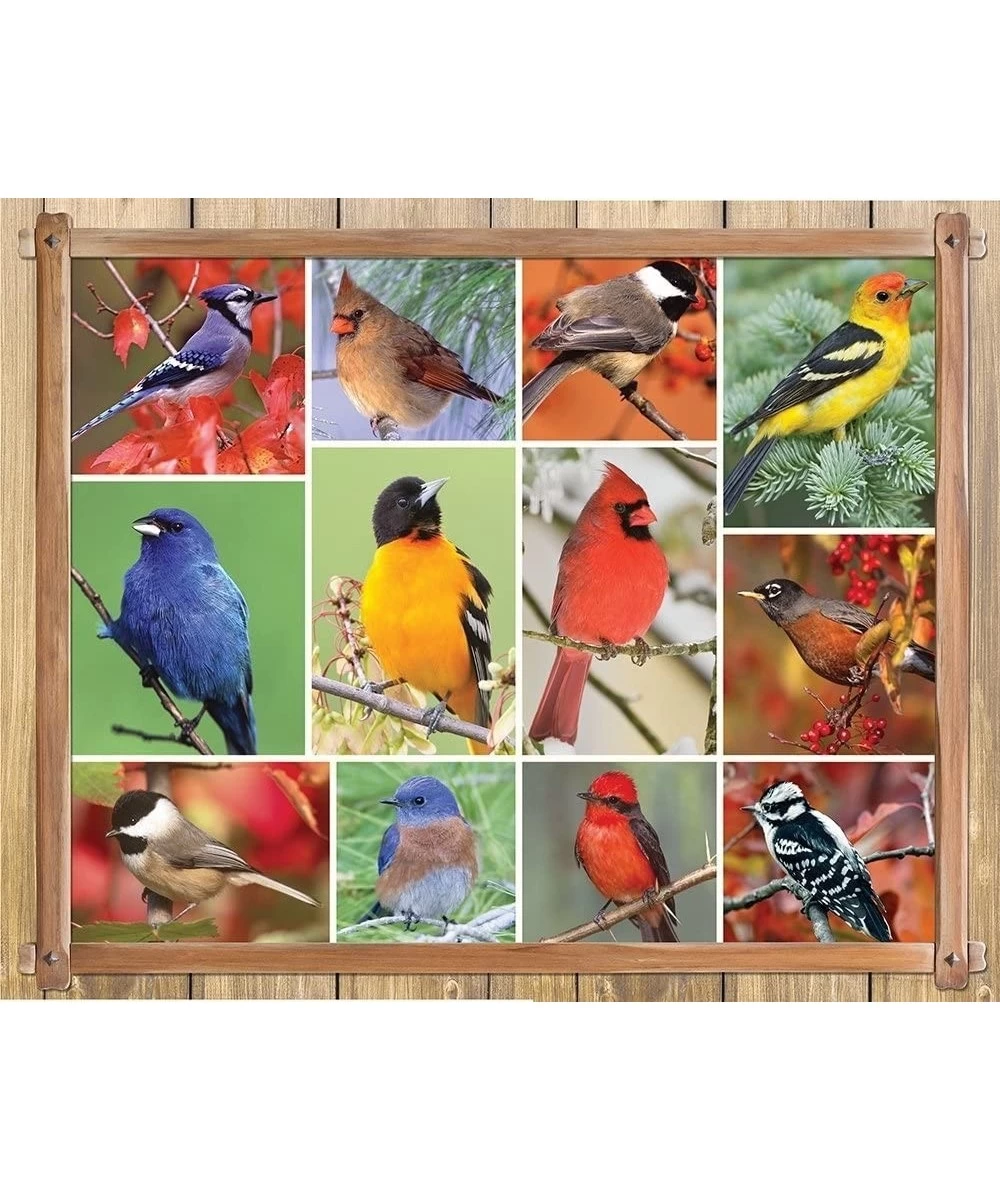 Springbok's 100 Piece Jigsaw Puzzle Songbirds - Made in USA $31.09 Jigsaw Puzzles