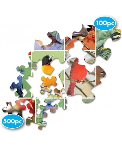 Springbok's 100 Piece Jigsaw Puzzle Songbirds - Made in USA $31.09 Jigsaw Puzzles