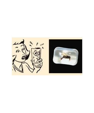 Bar Bug in Ice Cube -gag gift $13.88 Gags & Practical Joke Toys