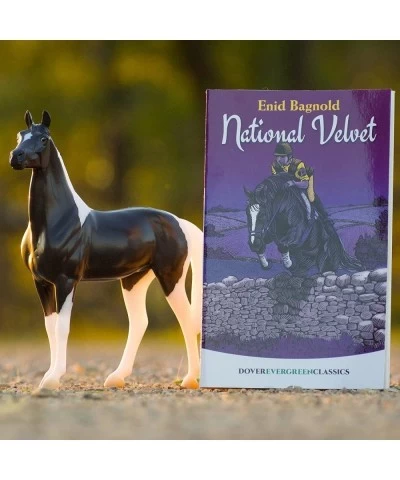 Freedom Series National Velvet Horse and Book Set Book Series | 1:12 Scale Freedom Series Horse | Model 6180 Black and White ...