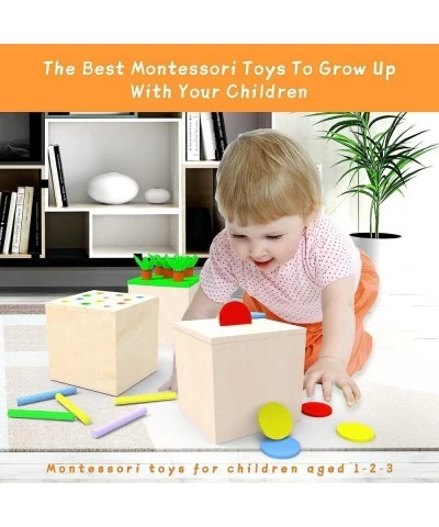 Montessori Toddler Play Kit Montessori Box Toys for 1 Year Old 2 Years Baby Learning Toys Gift Carrot Harvest Game Matchstick...