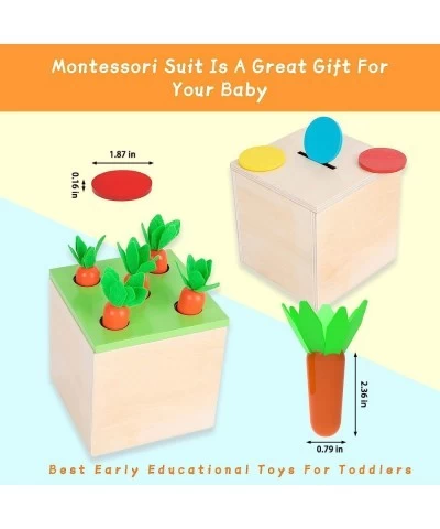 Montessori Toddler Play Kit Montessori Box Toys for 1 Year Old 2 Years Baby Learning Toys Gift Carrot Harvest Game Matchstick...