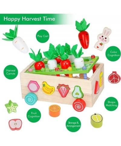 Montessori Toys for 1 2 3 4 Year Old Baby Boys and Girls Wooden Shape Sorting Toys Gifts for Toddlers Carrot Harvest Game Edu...