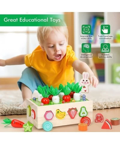 Montessori Toys for 1 2 3 4 Year Old Baby Boys and Girls Wooden Shape Sorting Toys Gifts for Toddlers Carrot Harvest Game Edu...