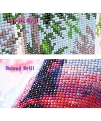 Full Drill 5d Diamond Painting Kits Cross Stitch Craft Kit New DIY Kits for Kids Adults Paint by Number Kits (Dandelion 25x30...