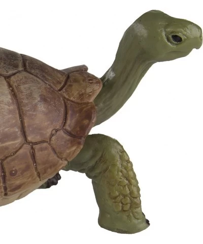 Safari Ltd Wild Safari Wildlife Giant Tortoise $17.21 Kids' Play Animal Figures