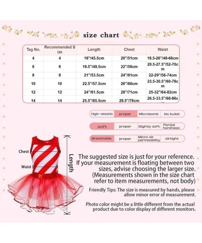 Girls Christmas Miss Candy Cane Dance Costume Metallic Striped Tank Leotard Tutu Skirted Dress $19.46 Kids' Costumes