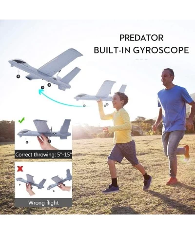 RC Plane Remote Control Airplane - 2.4Ghz 2 Channels DIY RC Predator Aircraft with 3-Axis Gyro for Beginner RC Plane with 2 B...