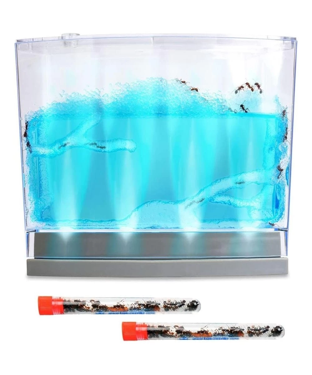 Live Lighted Blue Gel Ant Habitat Shipped with 50 Live Ants Now (2 Tubes of Ants) $70.06 Habitat Science Kits