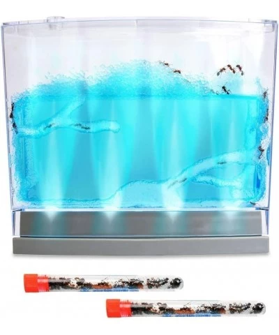 Live Lighted Blue Gel Ant Habitat Shipped with 50 Live Ants Now (2 Tubes of Ants) $70.06 Habitat Science Kits