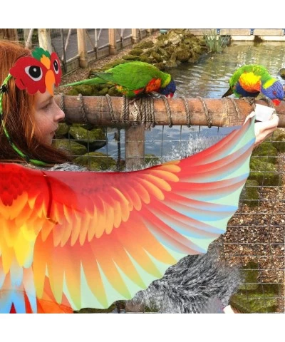 Bird-Costume-Parrot-Wings for Kids with Bird Headbands Boys Girls Eagle Dress-up Cape Halloween Party Favors Gifts $25.83 Kid...