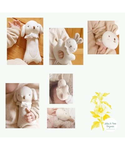 Baby First Friends Stuffed Animals (Puppy & Baby Rabbit Rattle Set) Attachment Doll for Baby $34.53 Plush Figure Toys