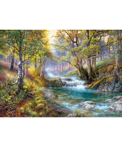 Hidden Stream Puzzle - 1000 Piece Premium Jigsaw Puzzle for Adults and Teens with Vivid Colors Modern Art Unique Gift Challen...