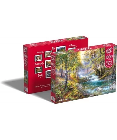 Hidden Stream Puzzle - 1000 Piece Premium Jigsaw Puzzle for Adults and Teens with Vivid Colors Modern Art Unique Gift Challen...