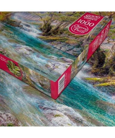 Hidden Stream Puzzle - 1000 Piece Premium Jigsaw Puzzle for Adults and Teens with Vivid Colors Modern Art Unique Gift Challen...