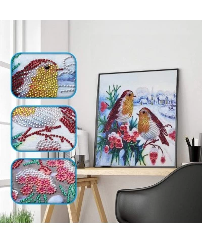 5d Diamond Painting Kits New Special Shaped Diamond Embroider DIY Kits for Kids Adults Paint by Number Kits Cross Stitch Craf...