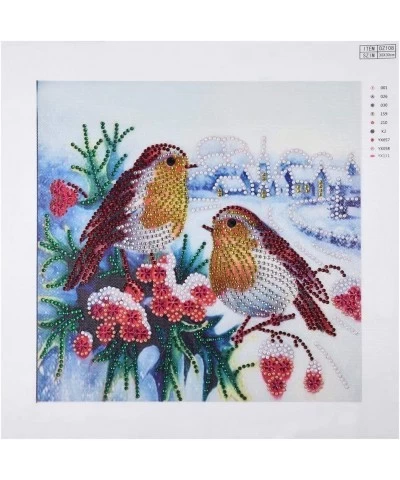 5d Diamond Painting Kits New Special Shaped Diamond Embroider DIY Kits for Kids Adults Paint by Number Kits Cross Stitch Craf...