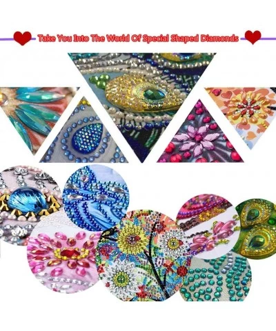 5d Diamond Painting Kits New Special Shaped Diamond Embroider DIY Kits for Kids Adults Paint by Number Kits Cross Stitch Craf...