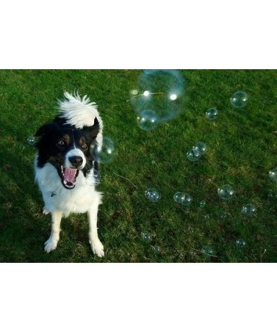 Peanut Butter Scented Dog Bubbles - 4 Pack - Non Toxic Tear Free and Safe for Dogs and Children $65.09 Bubble Blowing Products