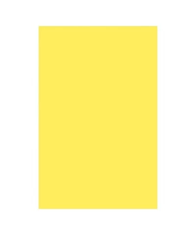 Pacon® PAC72760 Plastic Art Sheet 11" X 17" Yellow Pack of 8 $27.30 Kids' Drawing & Writing Boards