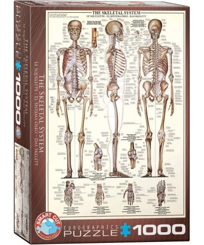 Skeletal System (Chart) Puzzle (1000-Piece) (6000-3970) Brown $29.99 Jigsaw Puzzles