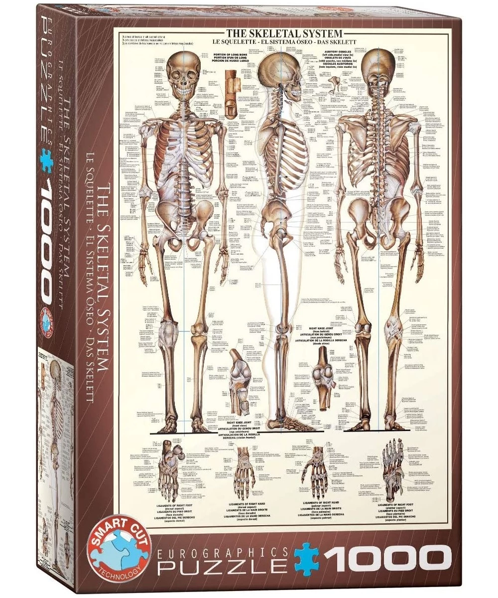 Skeletal System (Chart) Puzzle (1000-Piece) (6000-3970) Brown $29.99 Jigsaw Puzzles