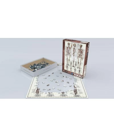 Skeletal System (Chart) Puzzle (1000-Piece) (6000-3970) Brown $29.99 Jigsaw Puzzles