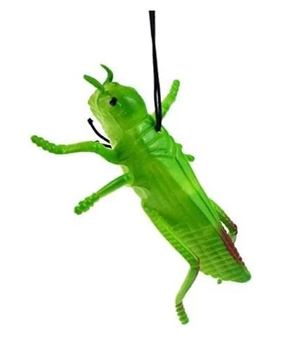 10pcs Plastic Grasshoppers Insect Figures Toys Fake Bugs Green for Insect Themed Party Children $28.47 Gags & Practical Joke ...