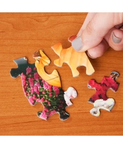 - 300 Piece Jigsaw Puzzle for Adults 18" x 24" - Dogs 300 pc Winter Presents Snow Country Trees Puppy Pet Sled Jigsaw by Arti...