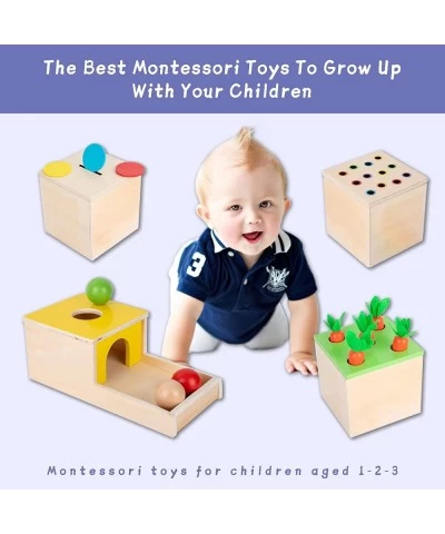 Montessori Box Play Kit Early Child Development Learning Material for 1-3 Years Old Babies (Play Kit 4 for 1) $68.08 Toy Medi...