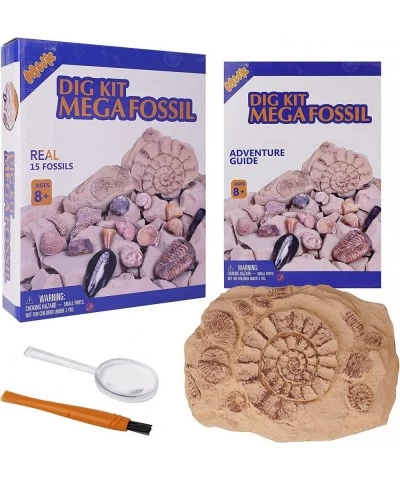 Mega Fossil Dig Kit – Excavate 15 Real Fossils Including Dinosaur Bones & Clam Educational Toys Great Gift for Girls and Boys...