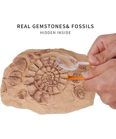 Mega Fossil Dig Kit – Excavate 15 Real Fossils Including Dinosaur Bones & Clam Educational Toys Great Gift for Girls and Boys...