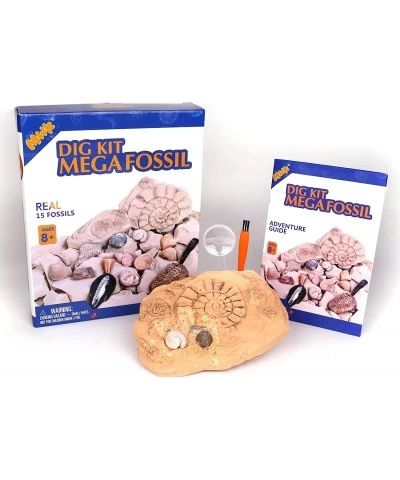 Mega Fossil Dig Kit – Excavate 15 Real Fossils Including Dinosaur Bones & Clam Educational Toys Great Gift for Girls and Boys...