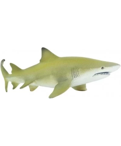 Sea Life Collection - Realistic Lemon Shark Toy Figure - Non-toxic and BPA Free - Ages 3 and Up $26.58 Kids' Play Animal Figures