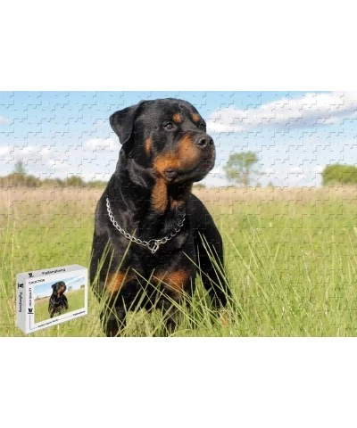 PigBangbang 20.6 X 15.1 Inch Basswood -Animal Rottweiler - 500 Piece Jigsaw Puzzle $56.42 Jigsaw Puzzles