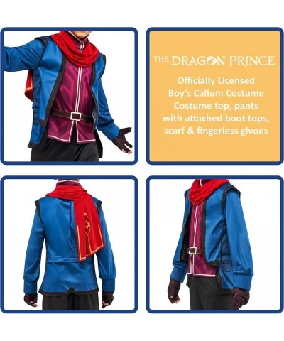 Boy's The Dragon Prince Callum Costume As Shown Medium $30.21 Kids' Costumes