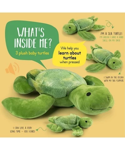 Talking Stuffed Mommy Sea Turtle with 3 Baby Turtles in her Tummy | Plush Turtles | Stuffed Turtle | Stuffed Animal Family | ...