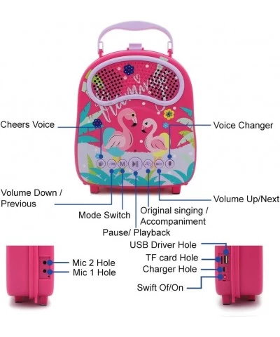 Kids Karaoke Machine for Girls Boys with 2 Microphones Bluetooth Children Karaoke Speaker for Singing Portable Toddler Music ...