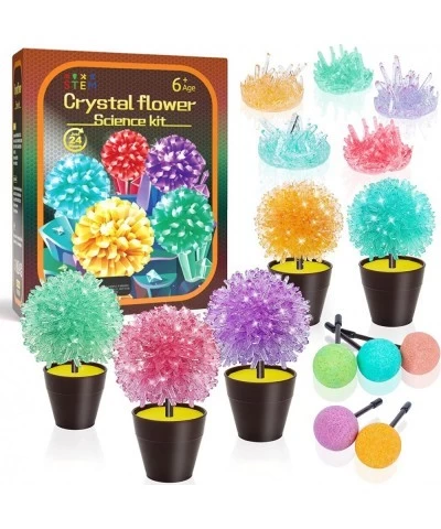 Crystal Growing Kit 10 Crystals Science Kits for Kids STEM Projects for Kids Ages 8-12 DIY Educational Science Experiments Cr...