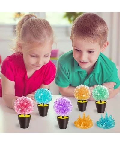 Crystal Growing Kit 10 Crystals Science Kits for Kids STEM Projects for Kids Ages 8-12 DIY Educational Science Experiments Cr...