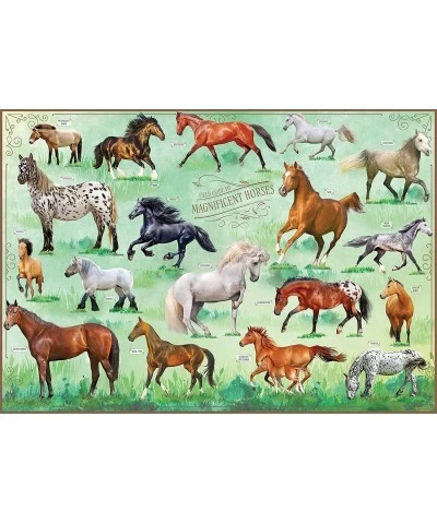 Horses Jigsaw Puzzle 500 Pieces - Magnificent Horses 20" x 14" - with 32 Page Pocket Field Guide - Great Gift for Horse Lover...