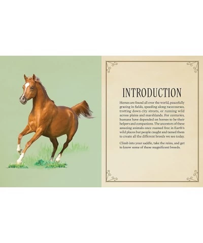 Horses Jigsaw Puzzle 500 Pieces - Magnificent Horses 20" x 14" - with 32 Page Pocket Field Guide - Great Gift for Horse Lover...