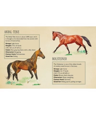 Horses Jigsaw Puzzle 500 Pieces - Magnificent Horses 20" x 14" - with 32 Page Pocket Field Guide - Great Gift for Horse Lover...