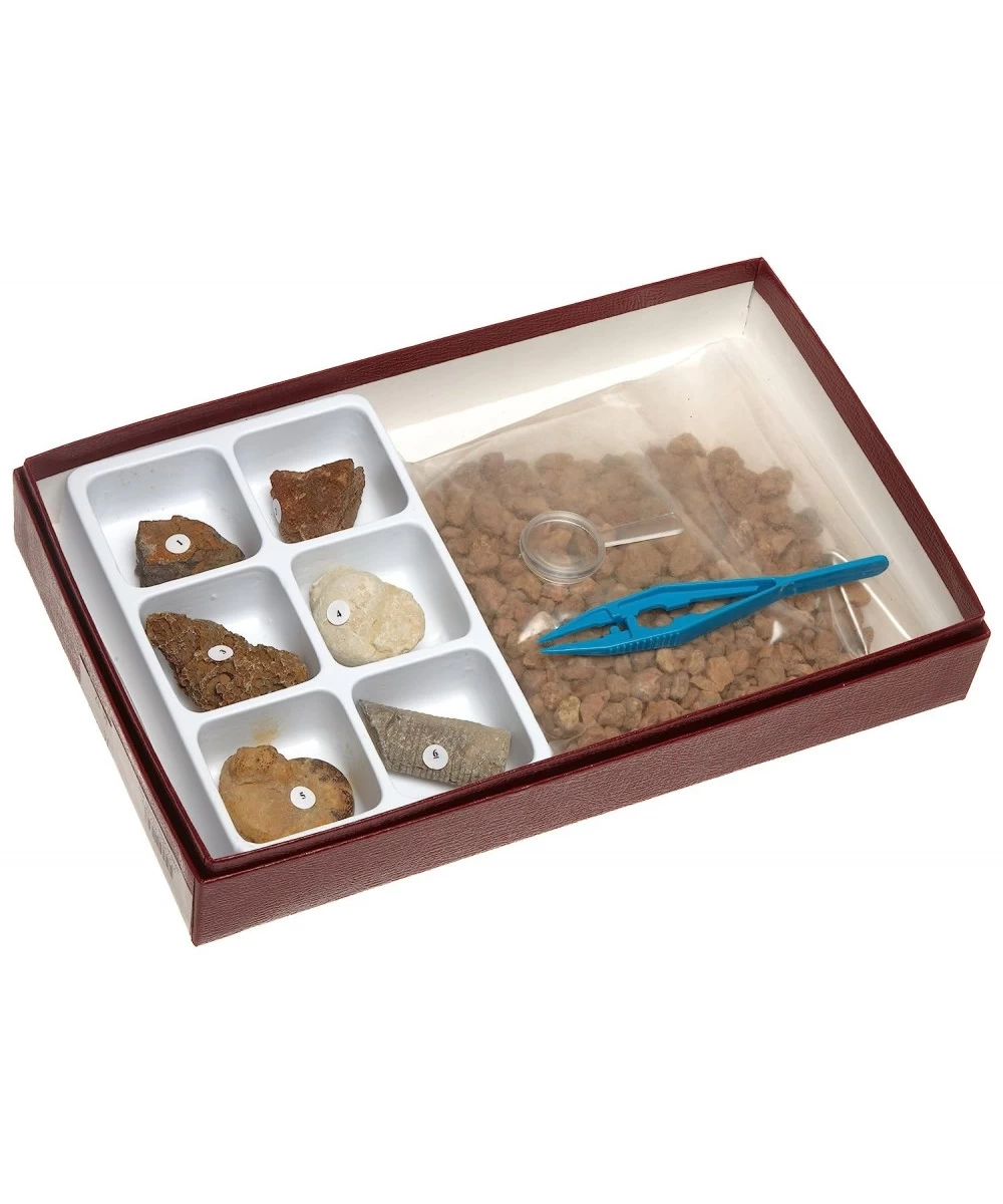 American Educational Fossil Hunt Kit $72.28 Educational Science Kits