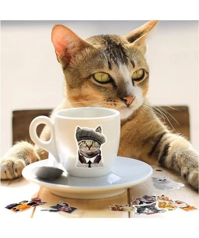 Cat Stickers for Water Bottles 100PCS Cute Cat Stickers for Kids Adults Funny Cat Stickers for Car Skateboard Laptop $16.81 K...