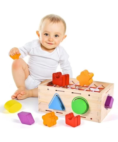 Wooden Shape Sorter Montessori Toys Age 1 2 3 Toddler Fine Motor Sorting Cube Developmental Educational Toys for 1 2 3 Year O...