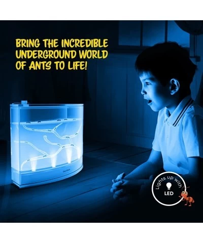 Light-up Ant Farm Terrarium Kit for Kids – LED Ant Habitat for Live Ants with Nutrient Rich Gel - Watch Ants Dig Their Own Tu...