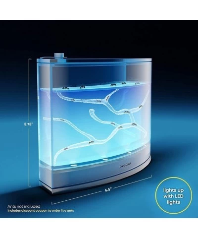 Light-up Ant Farm Terrarium Kit for Kids – LED Ant Habitat for Live Ants with Nutrient Rich Gel - Watch Ants Dig Their Own Tu...