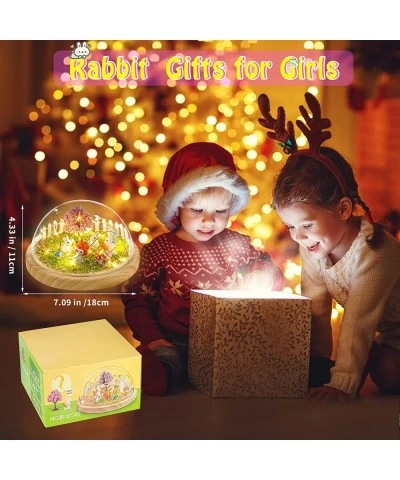 Make Your Own Rabbit Night Light-Rabbit Craft Kit for Kids Bunny Toys for for Girls Ages 4 to 9 Novelty Toys Gifts for 4 5 6 ...