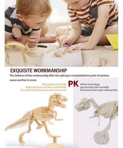 Dinosaur Excavation Kits for Kids Dino Dig Kits T-Rex Triceratops and Diplodocus Dinosaur Fossil Excavation Kits Children's P...